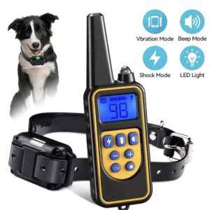 Pet Training Collar